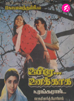 WHEN WILL CATWOMAN: HUNTED BE STREAMING